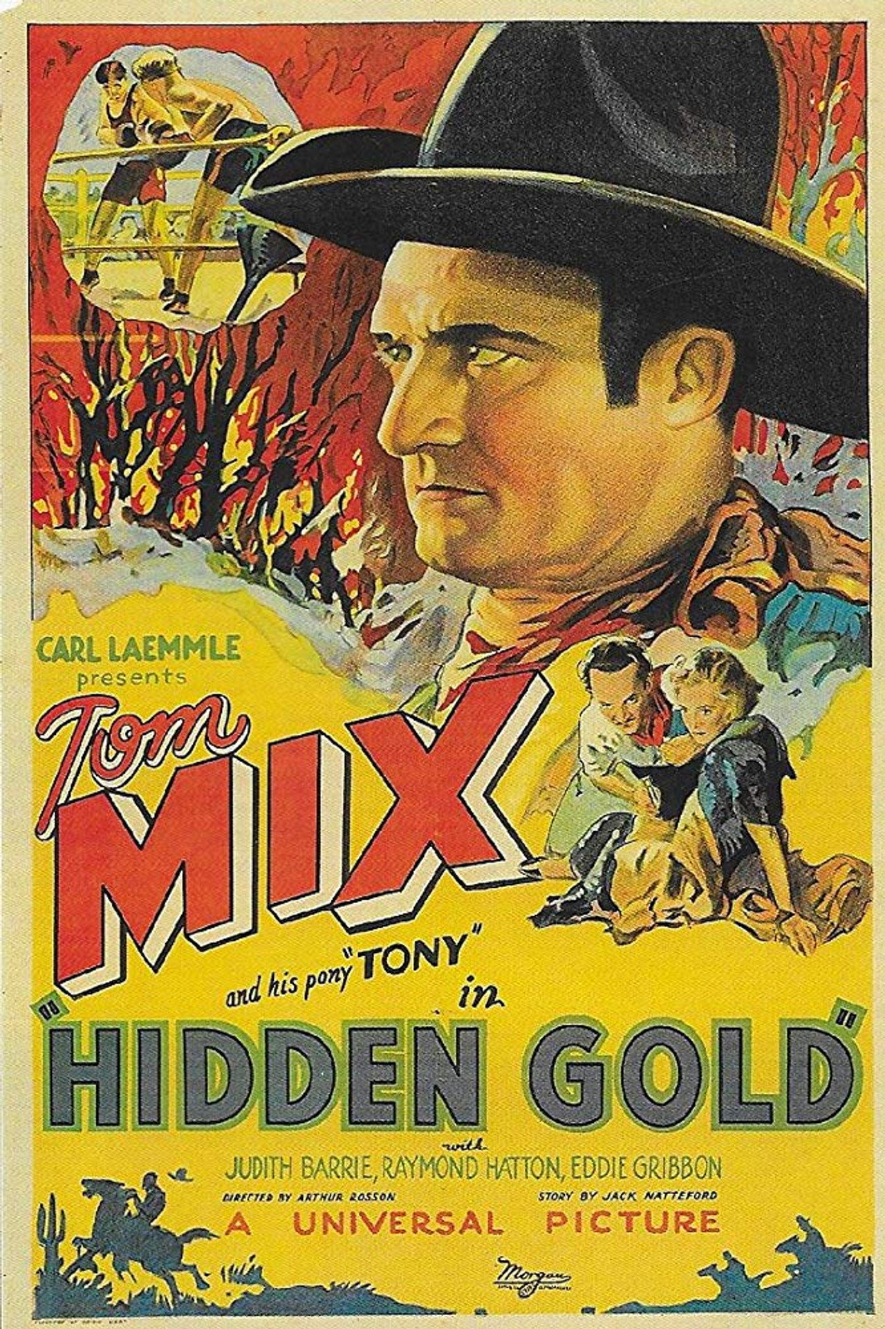 Hidden Gold