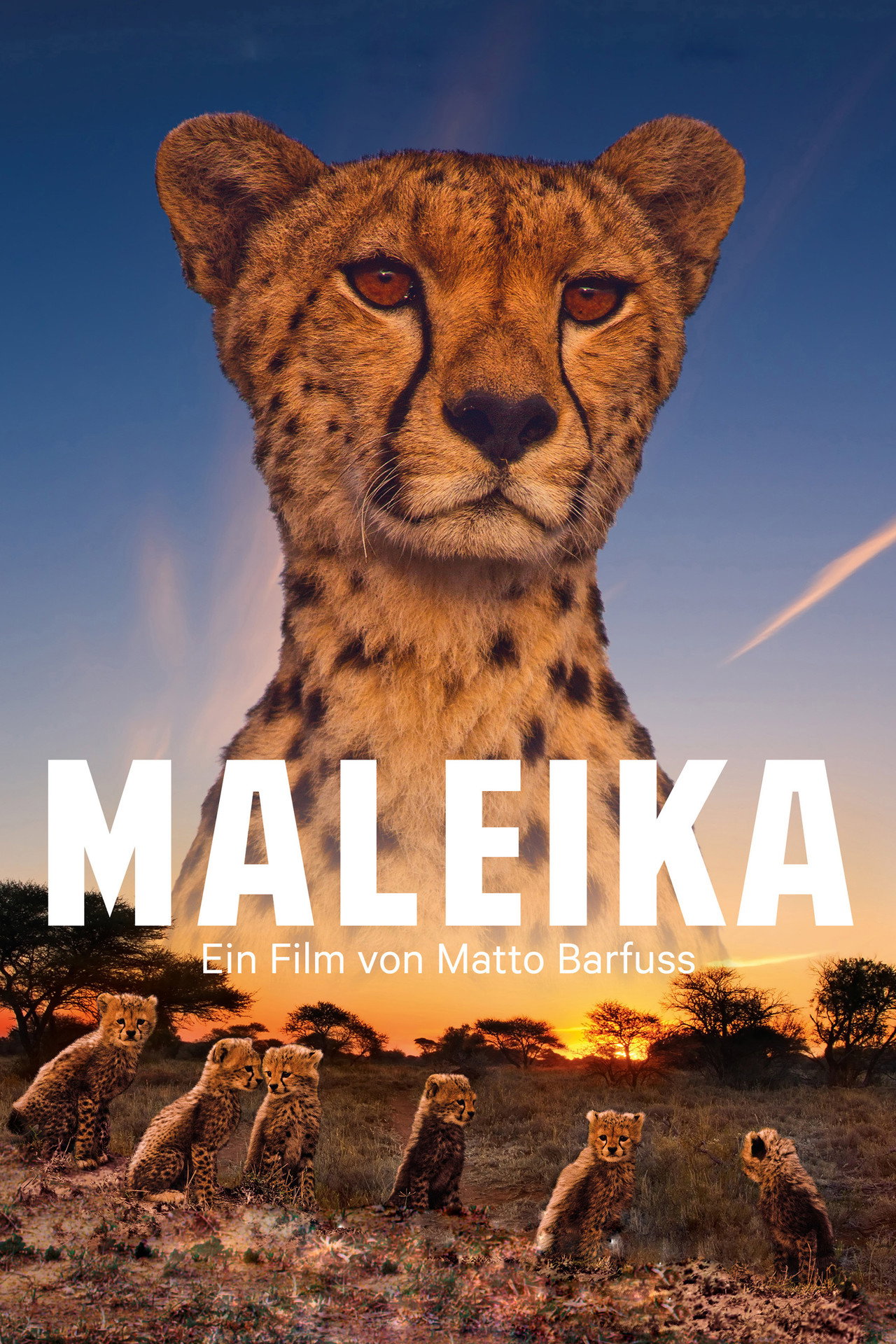 Maleika filmaffisch