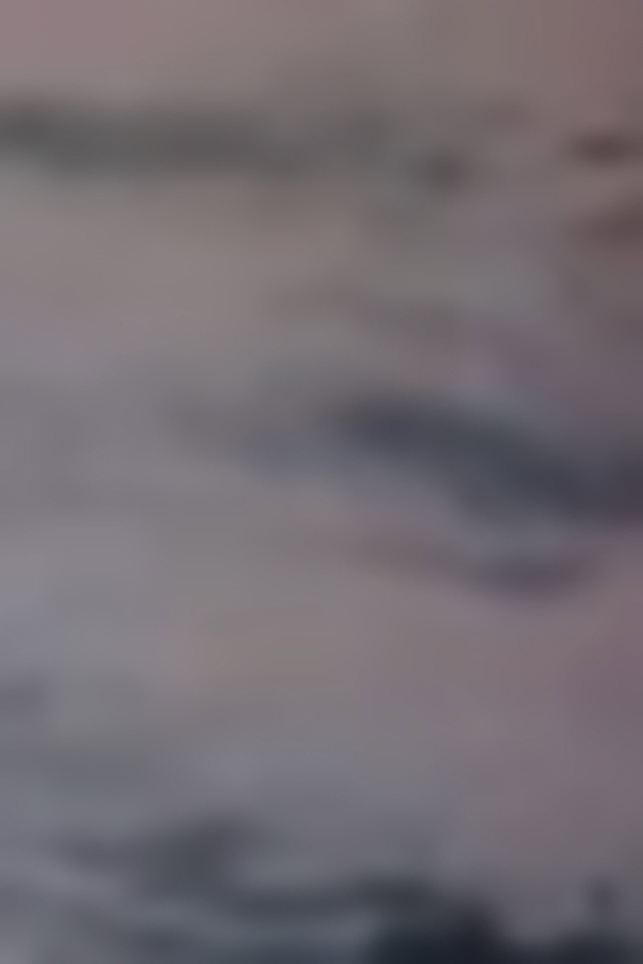 Song 8