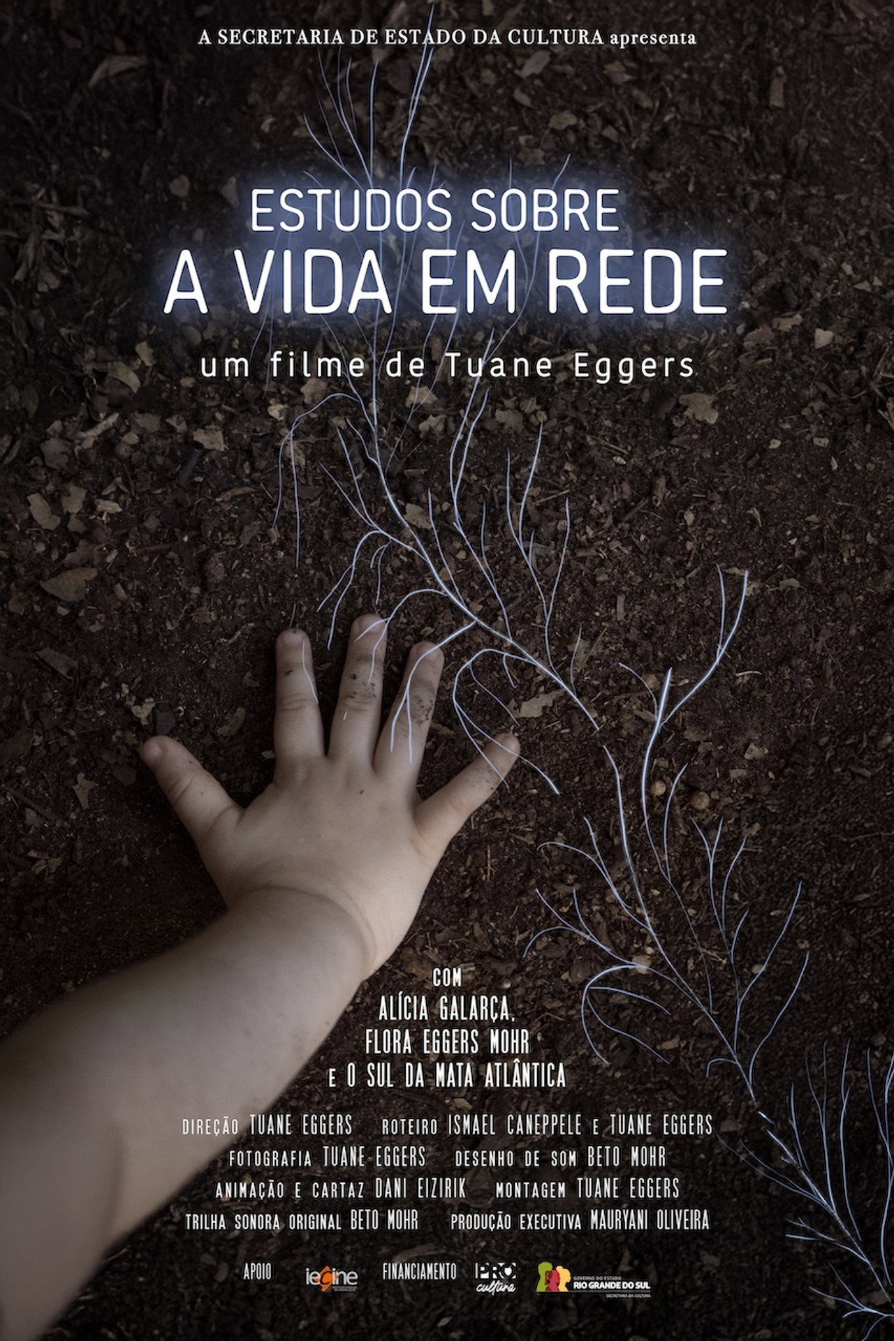 Estudos Sobre A Vida Em Rede filmaffisch