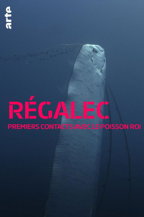 Régalec, premiers contacts avec le poisson roi poster