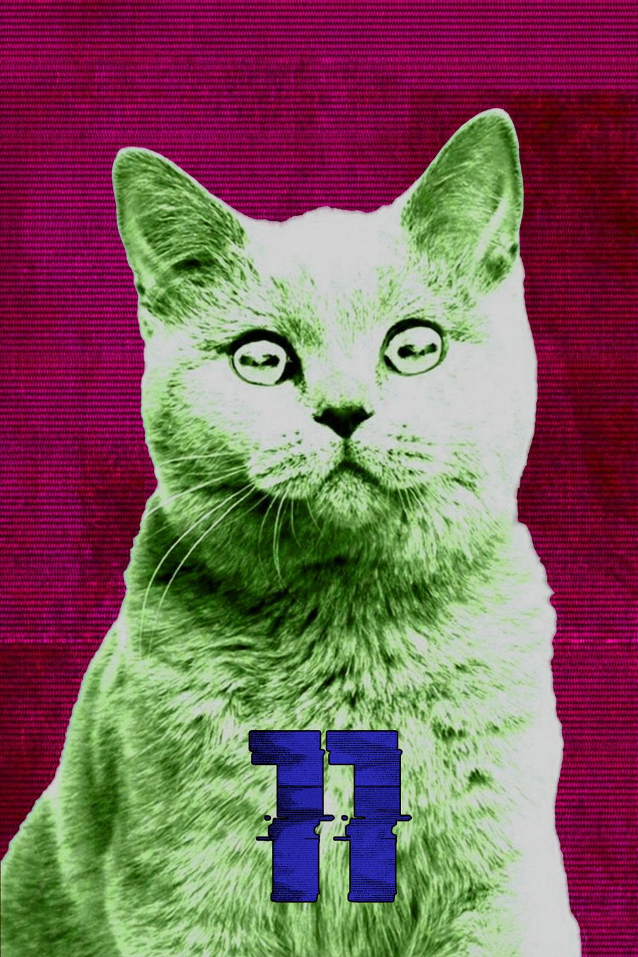Säsong 11