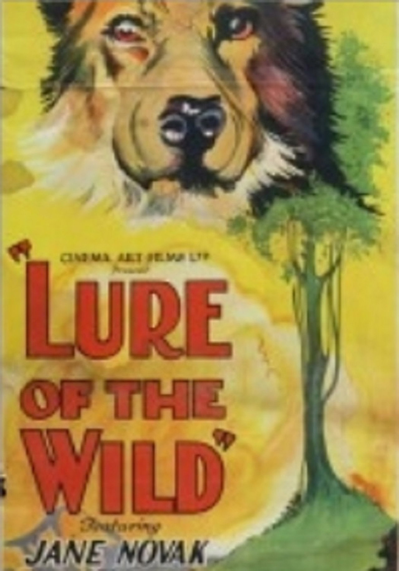 The Lure of the Wild