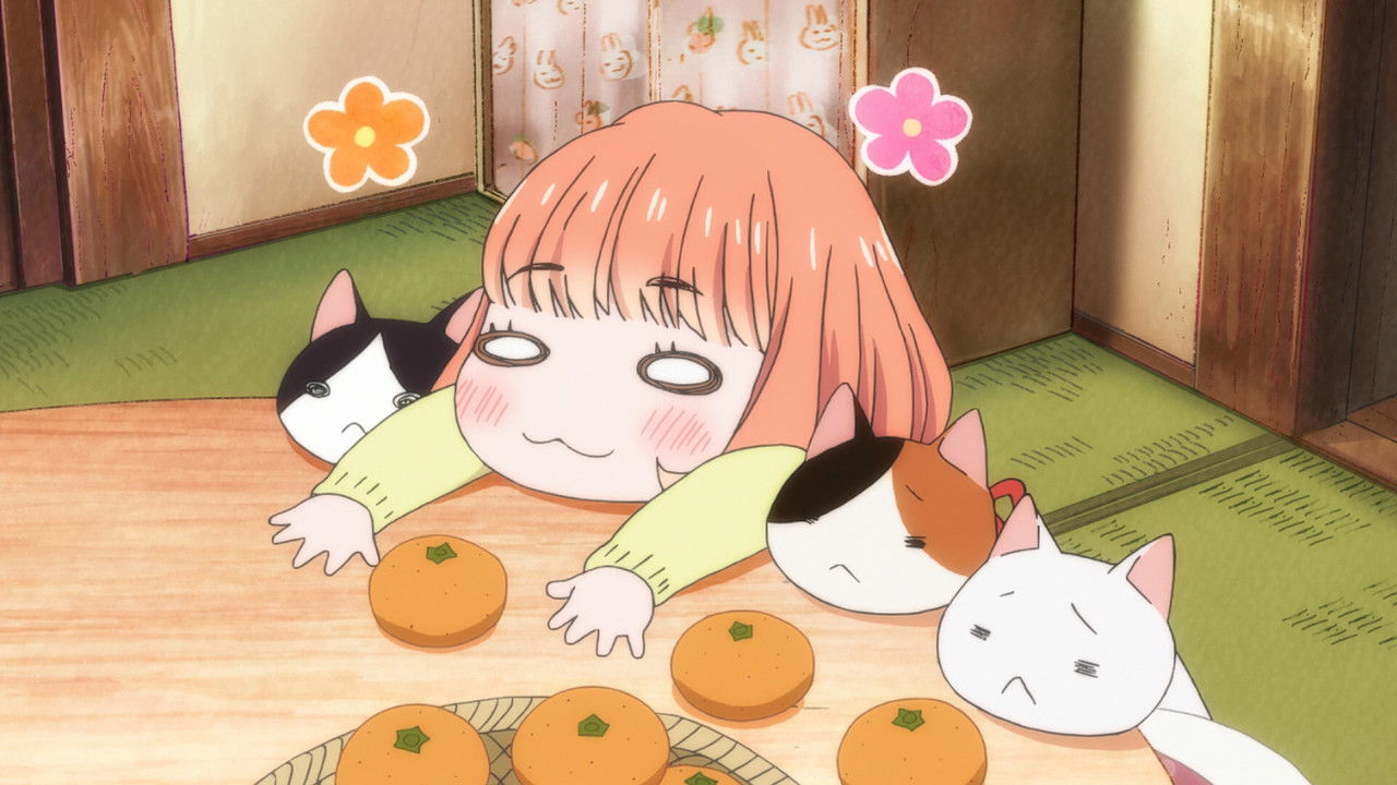 March Comes in like a Lion — L'an passé / La nouvelle année