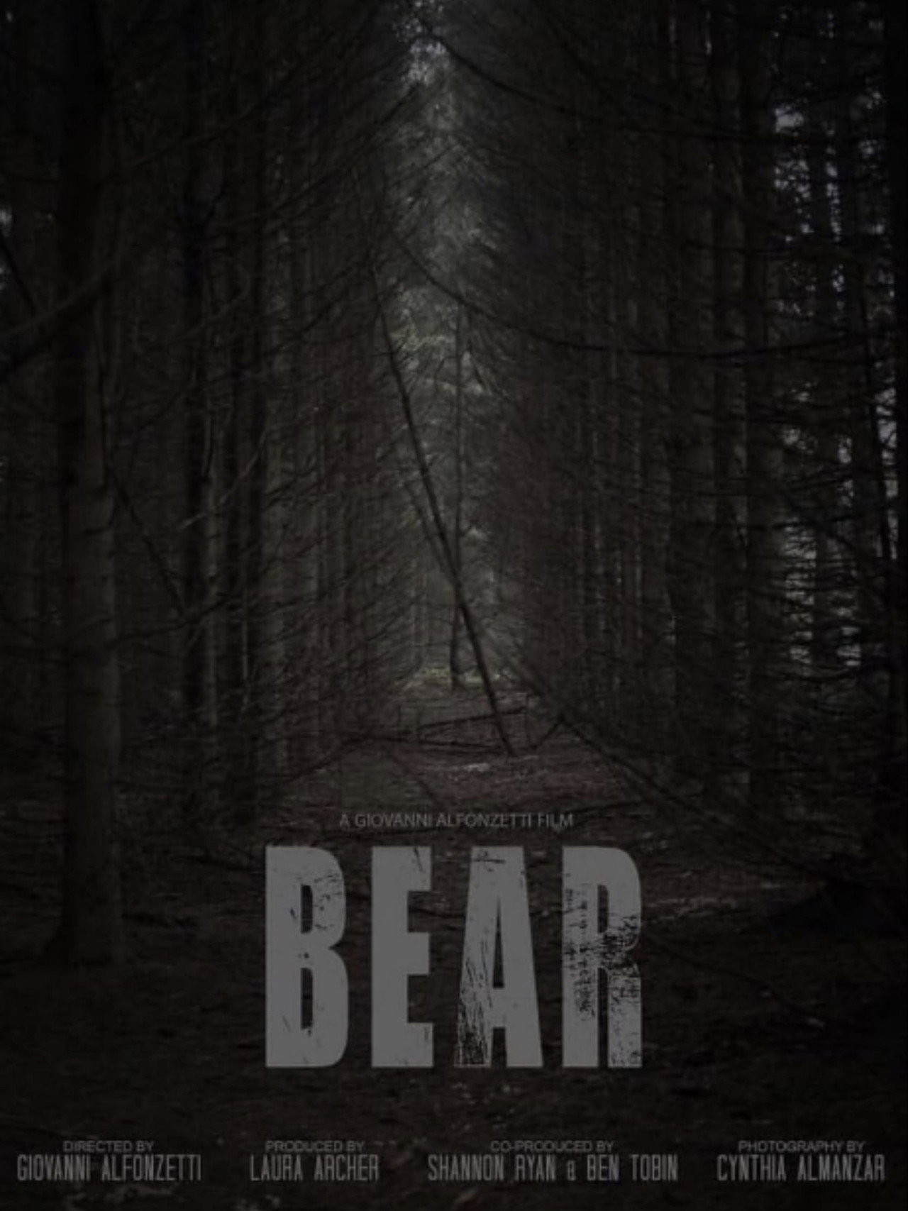 Bear