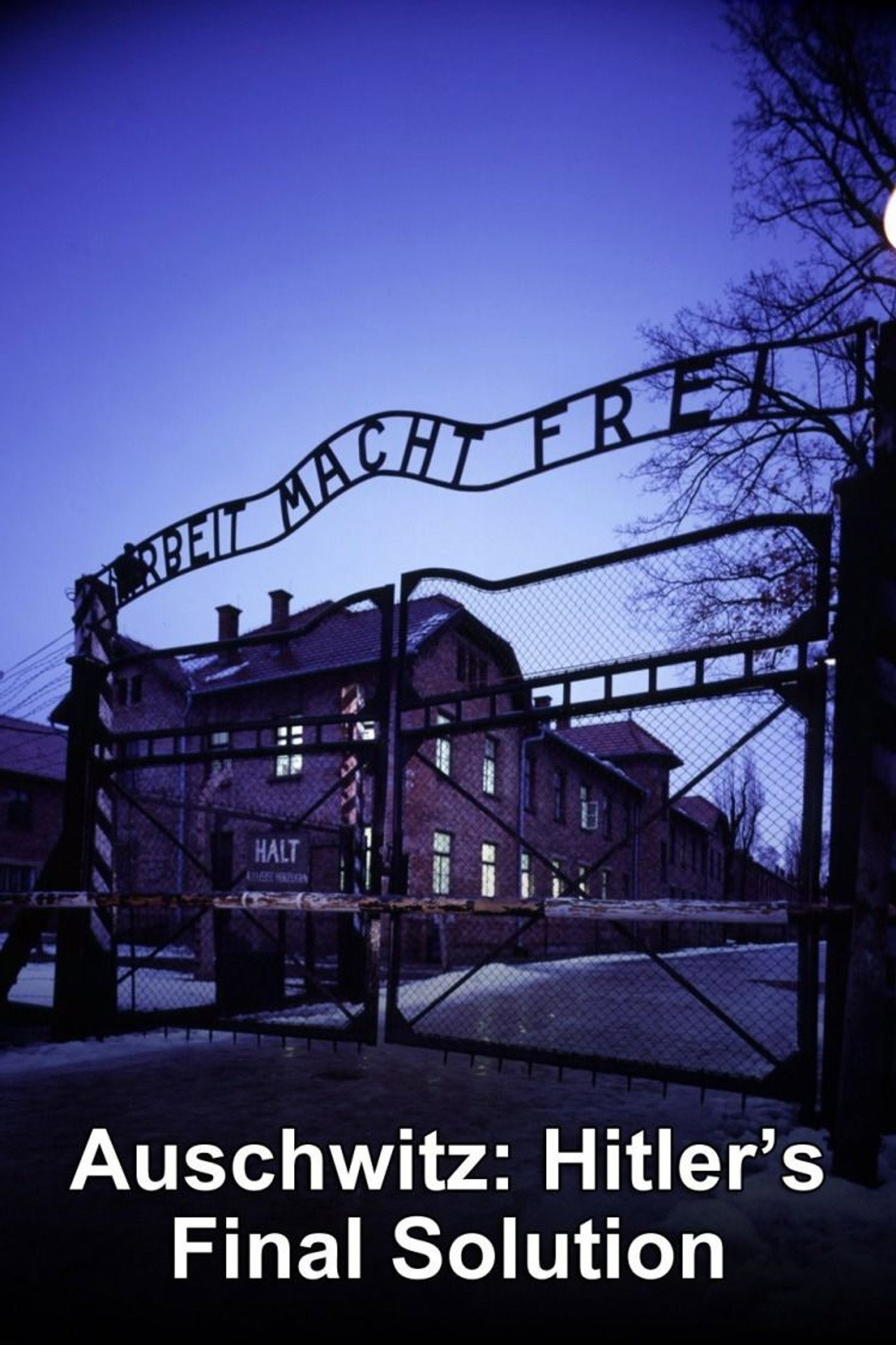 Auschwitz: Hitler's Final Solution poster