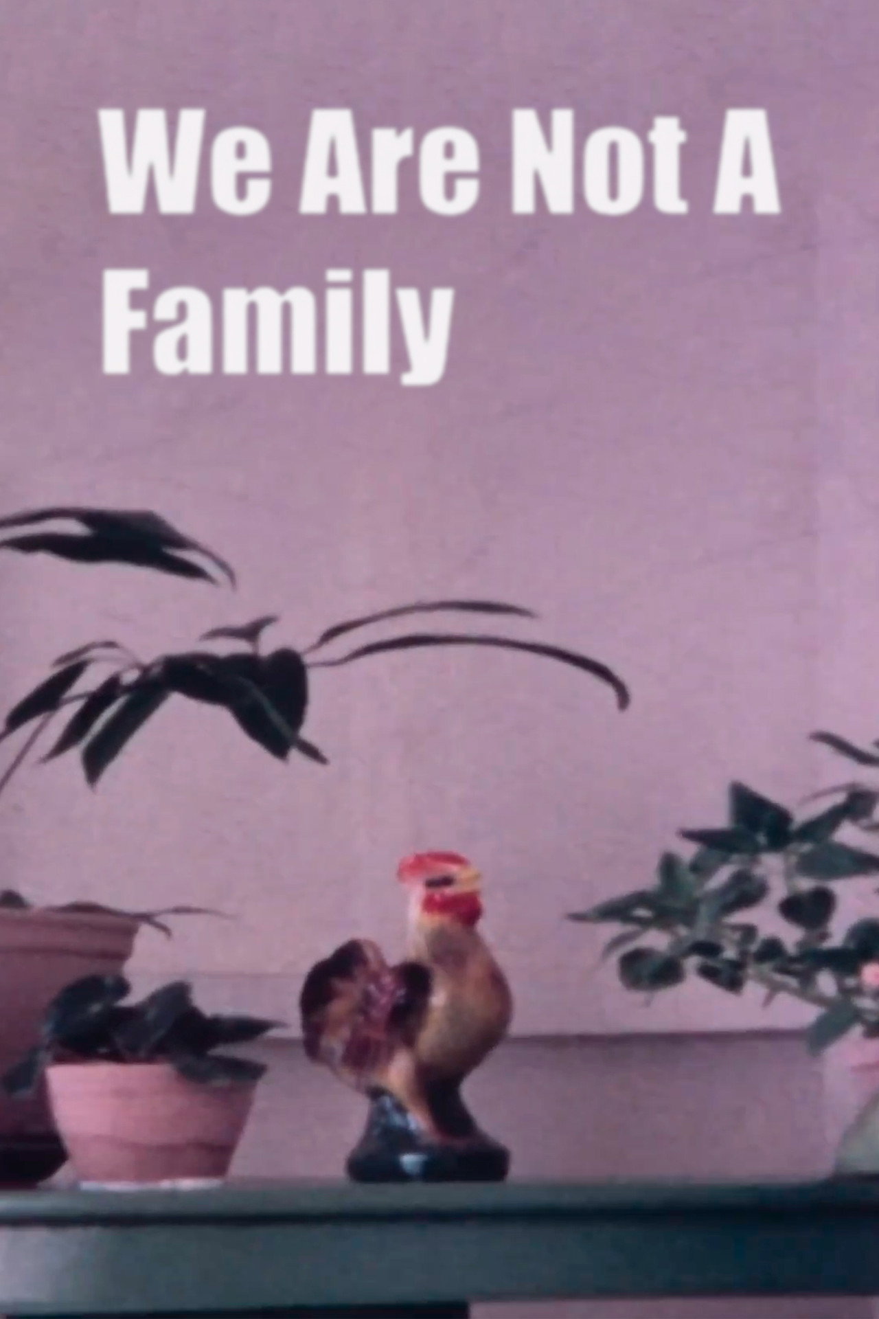 We Are Not A Family