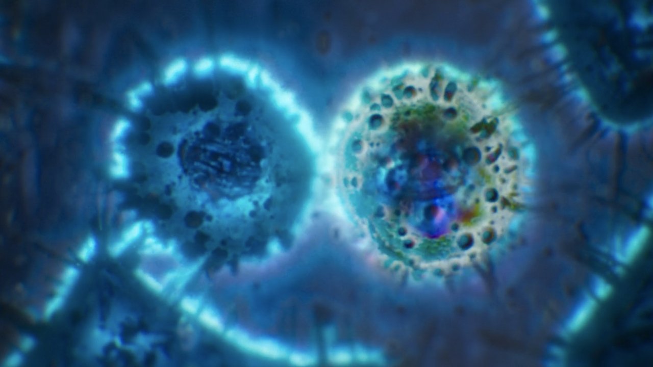 title image