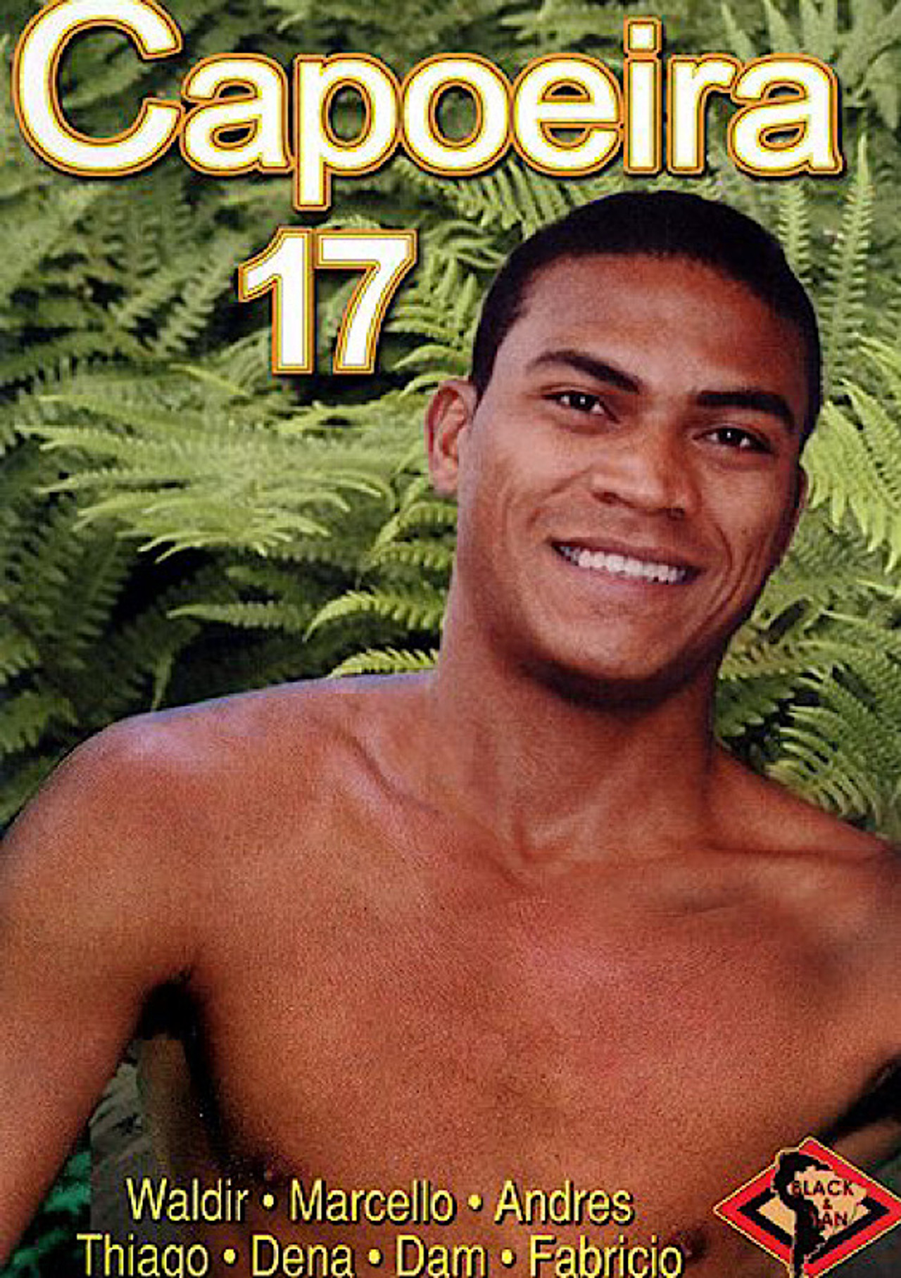 Capoeira 17 filmaffisch
