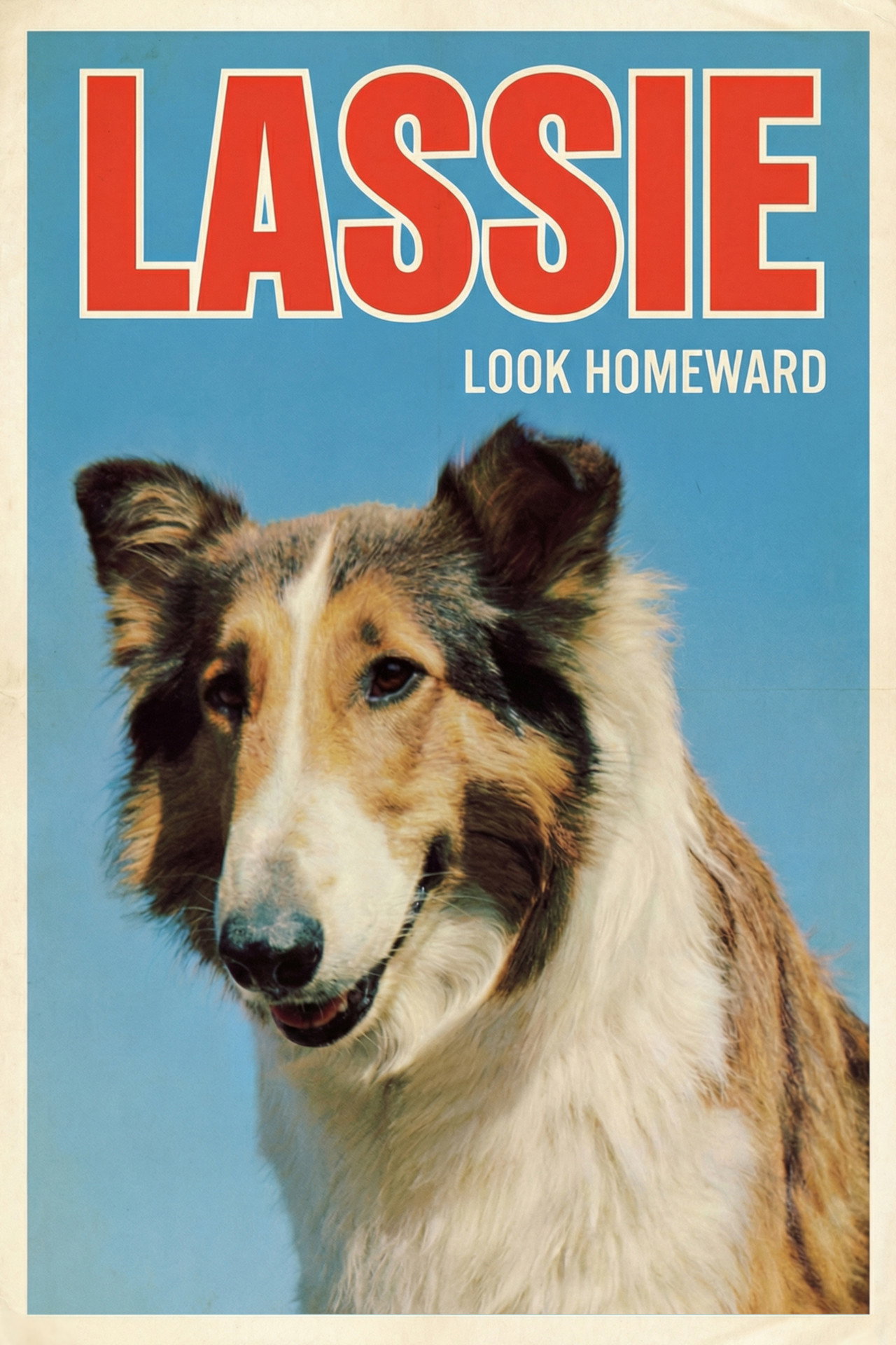 Look Homeward filmaffisch