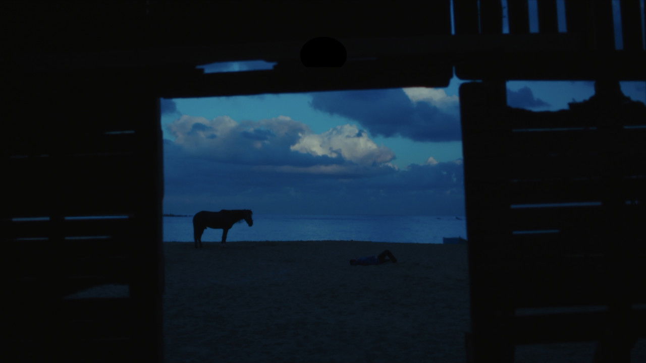 My Father's Scent backdrop