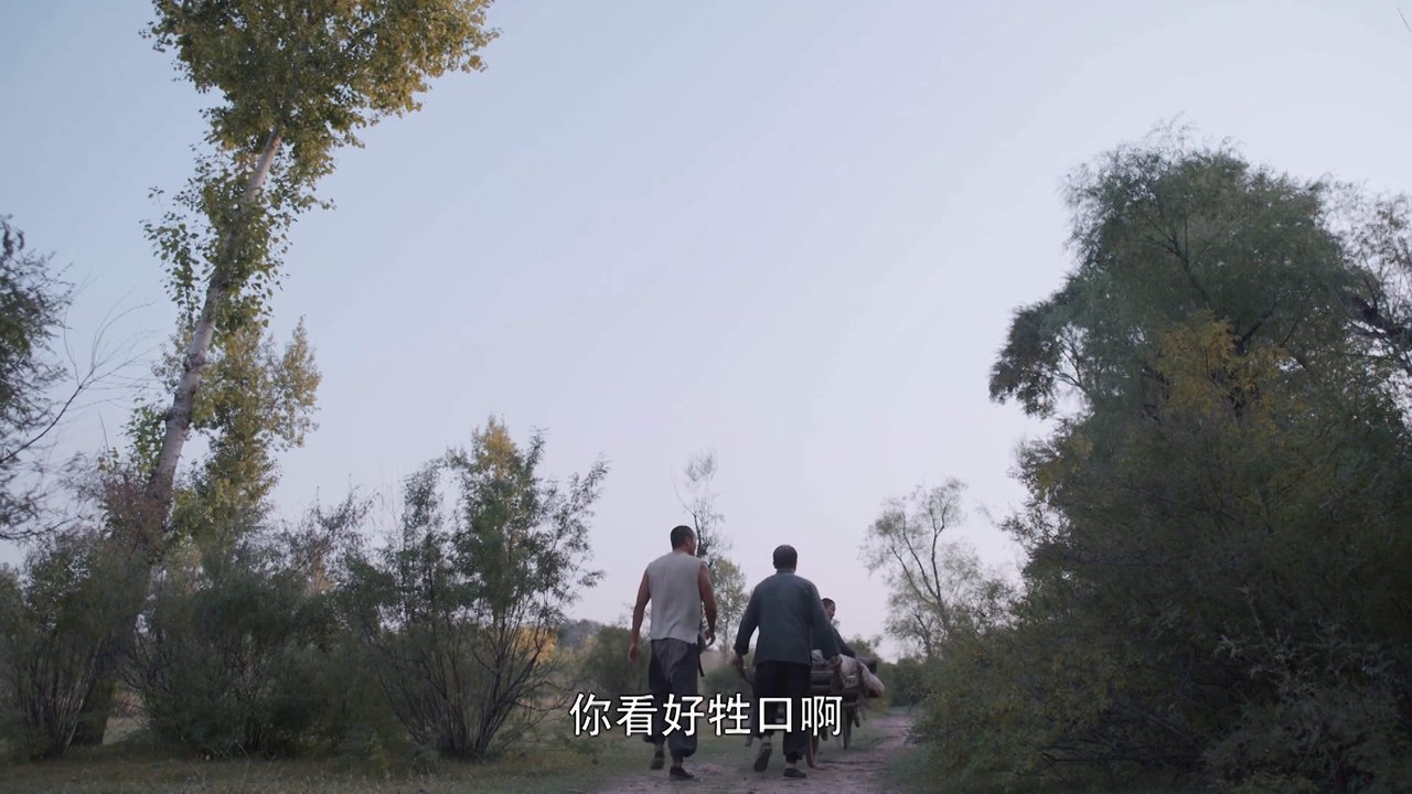 White Deer Plain - Season 1 Episode 23 : Episode 23