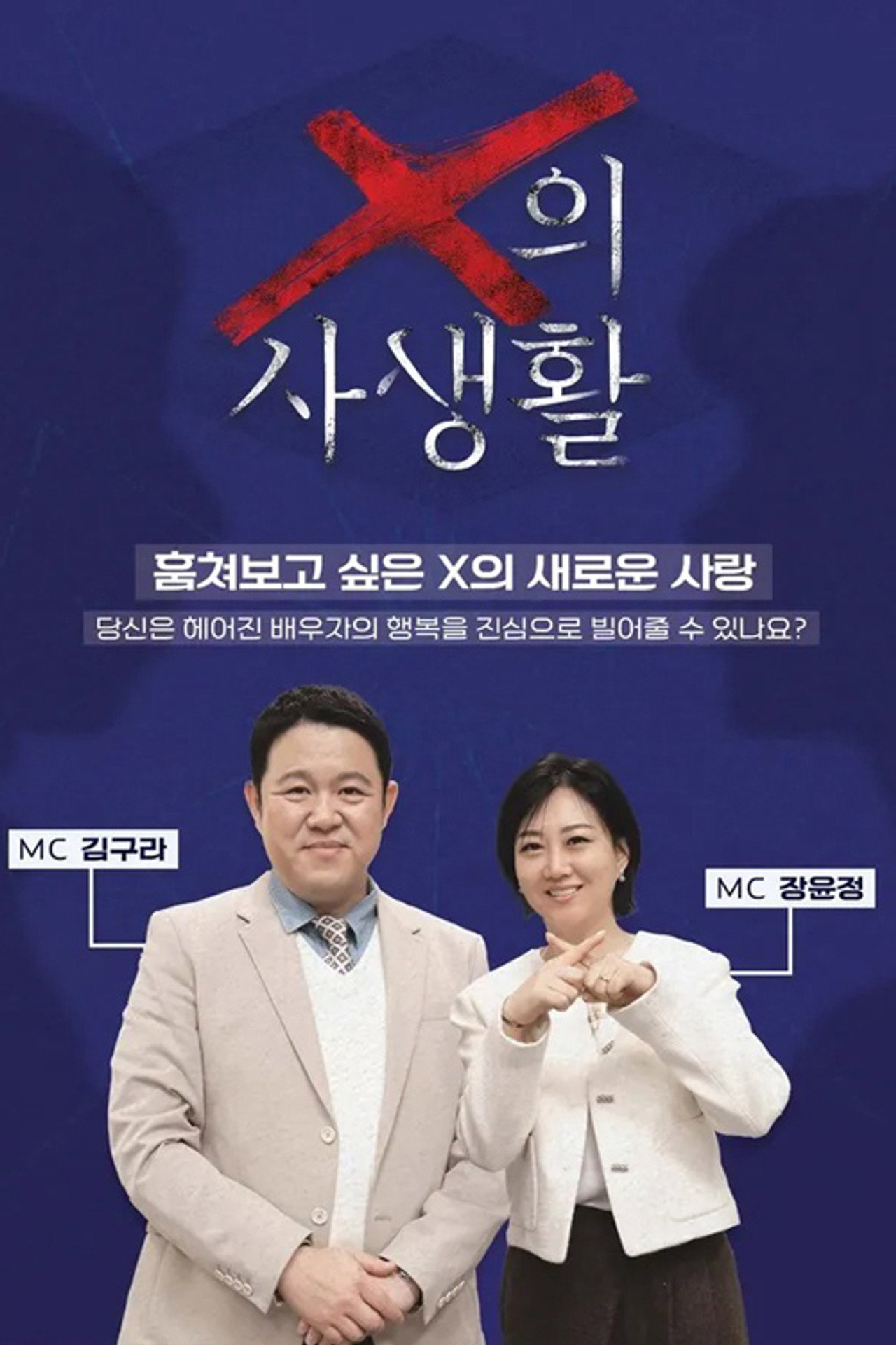 X의 사생활 affisch