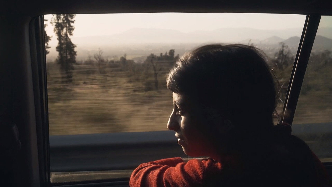 Immagine di copertina del trailer di Here and Everywhere