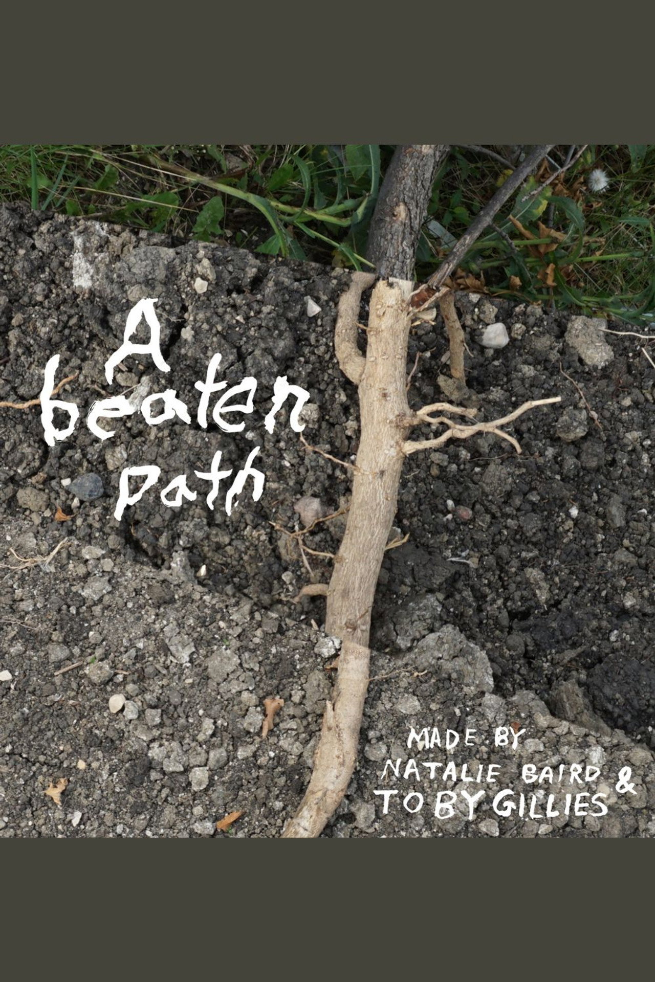 a beaten path