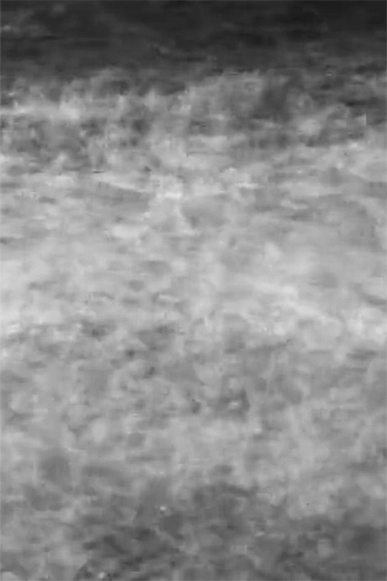 Waves filmaffisch