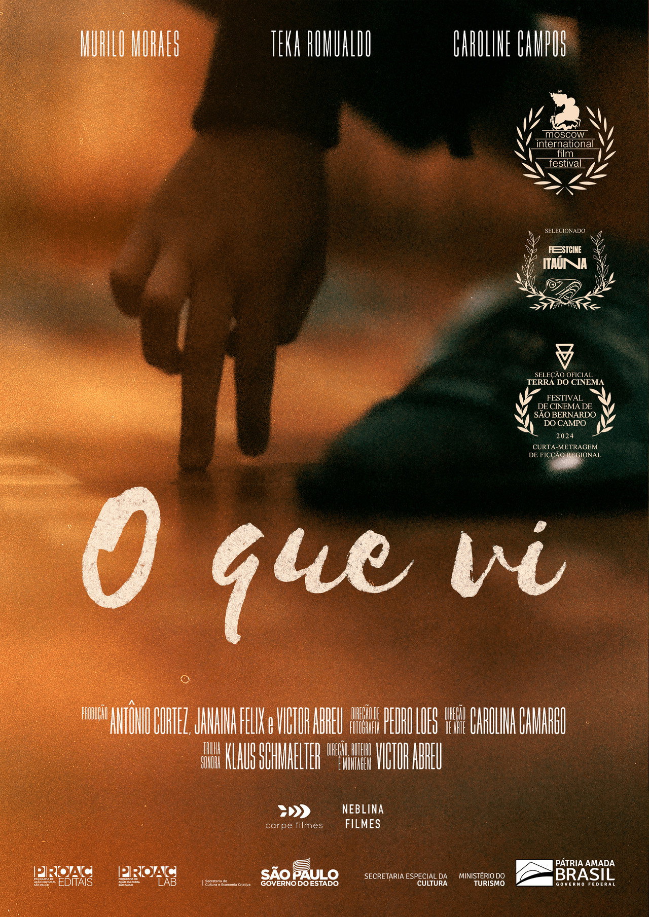 O Que Vi filmaffisch