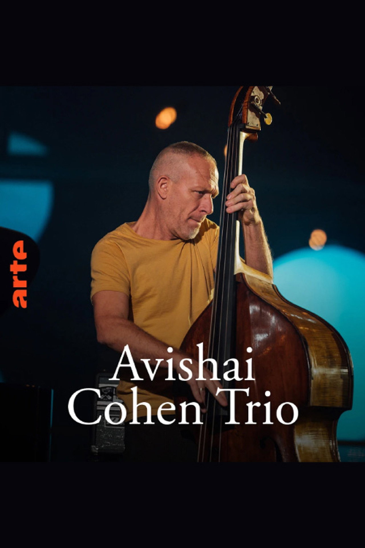 Avishai Cohen Trio – Shifting sands Backdrop