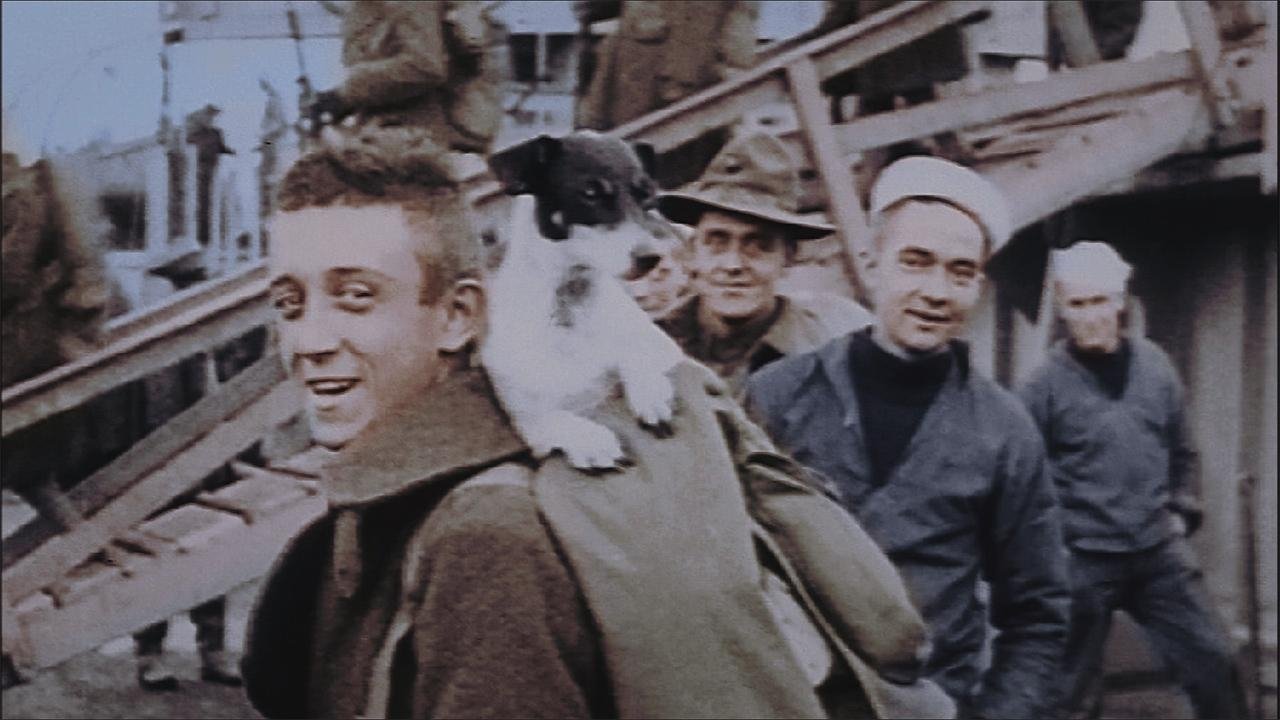 title image