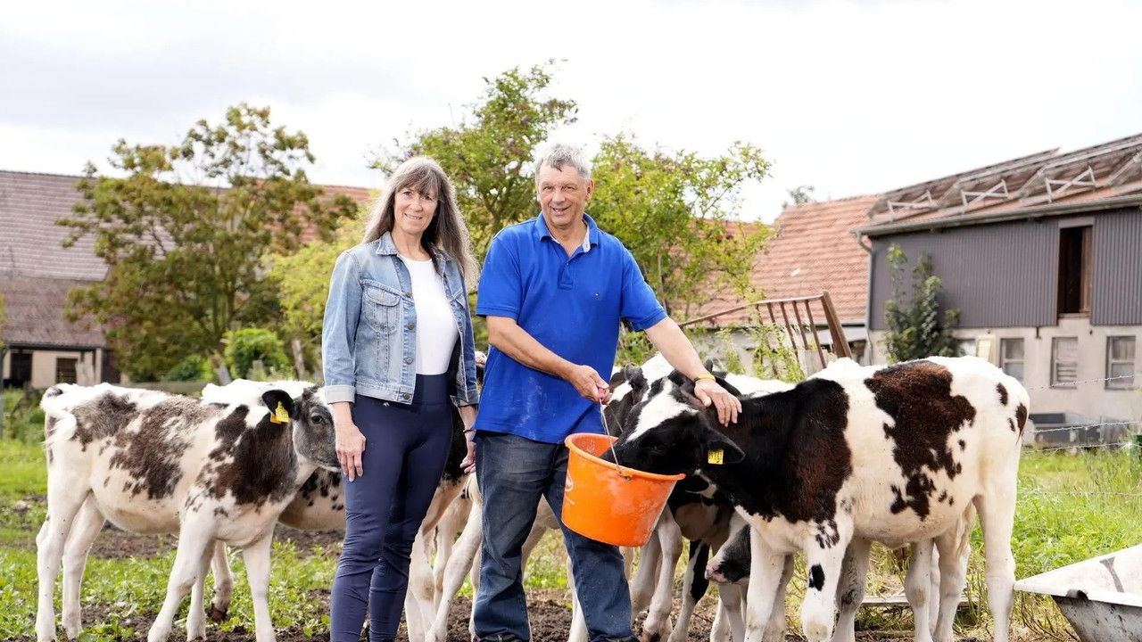 Bauer sucht Frau - Season 21 Episode 5 : Episode 5