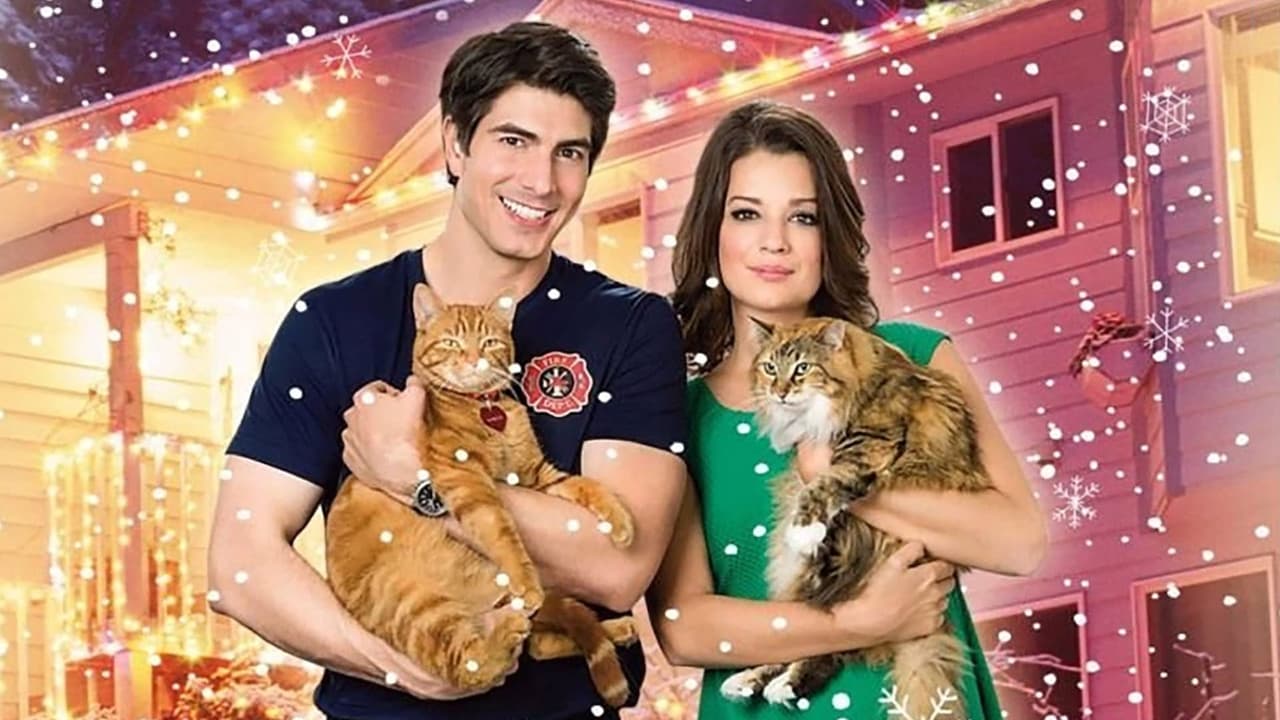 The Nine Lives of Christmas Backdrop Image