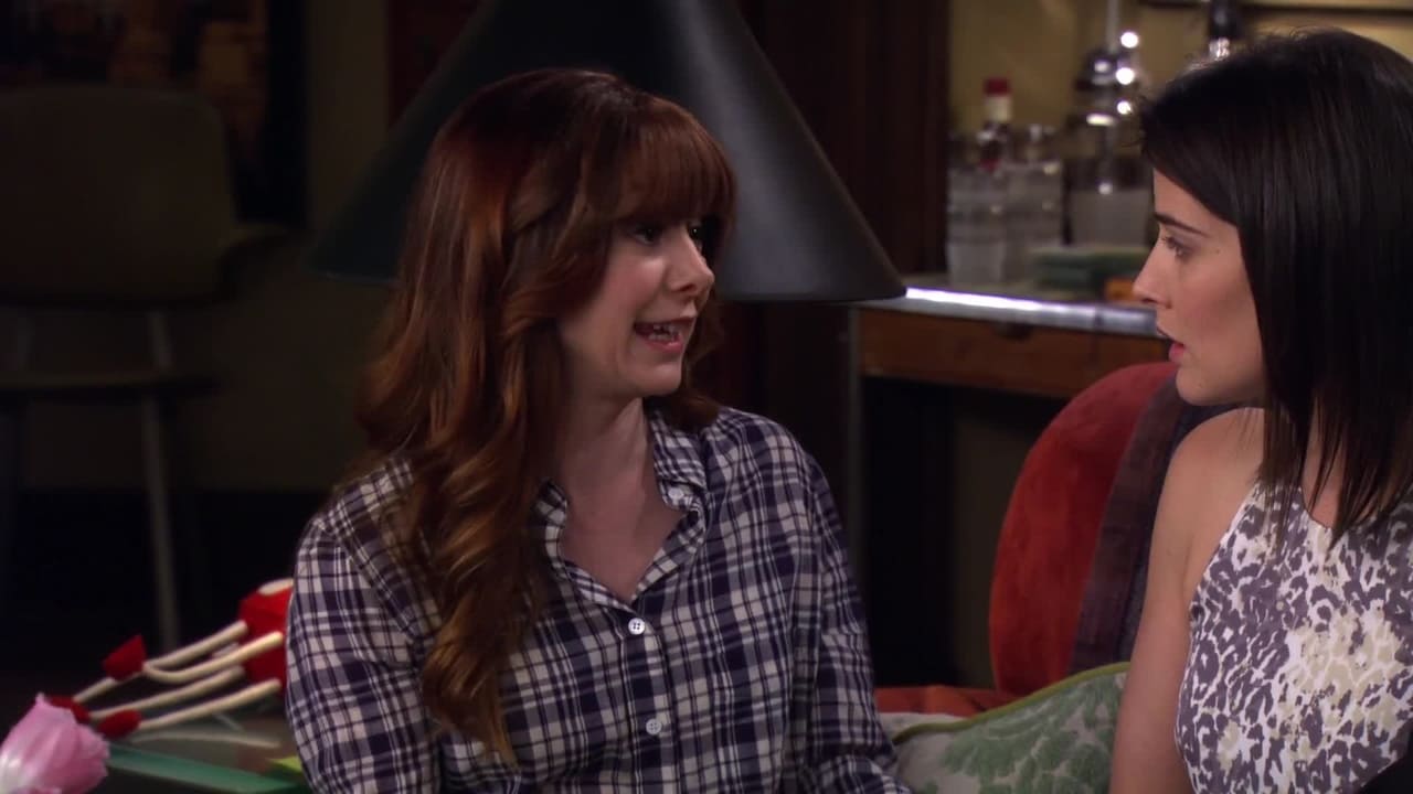 How I Met Your Mother - Season 9 Episode 23 : Last Forever (1)