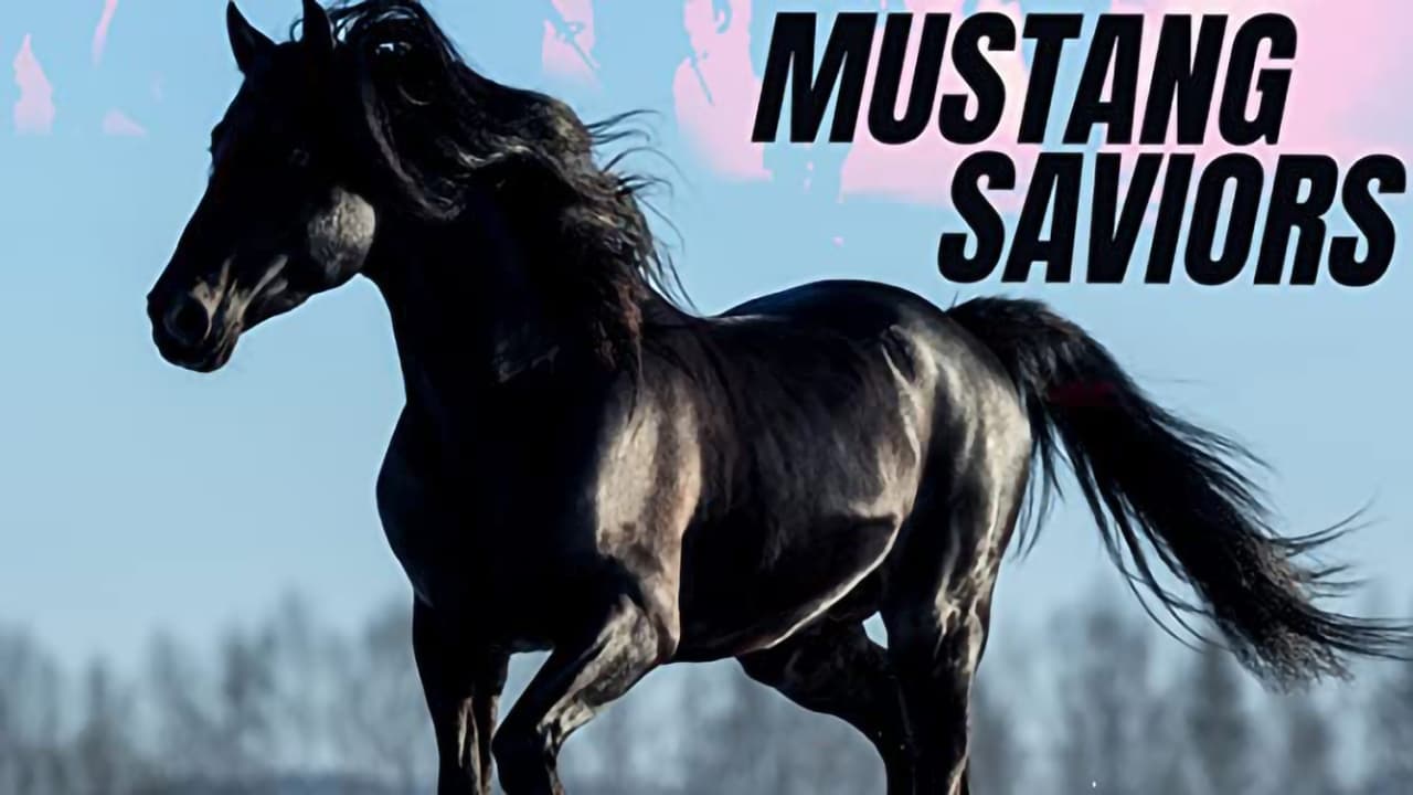 Mustang Saviors background