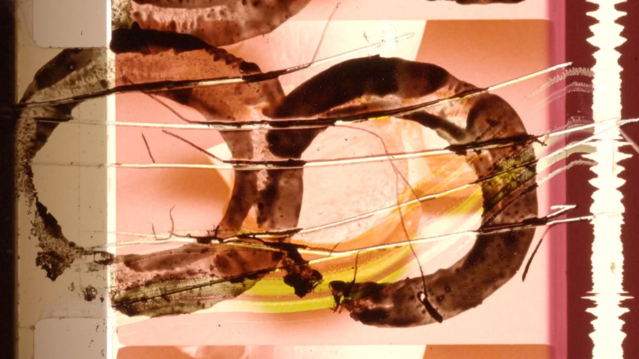 can i get a number 3 please