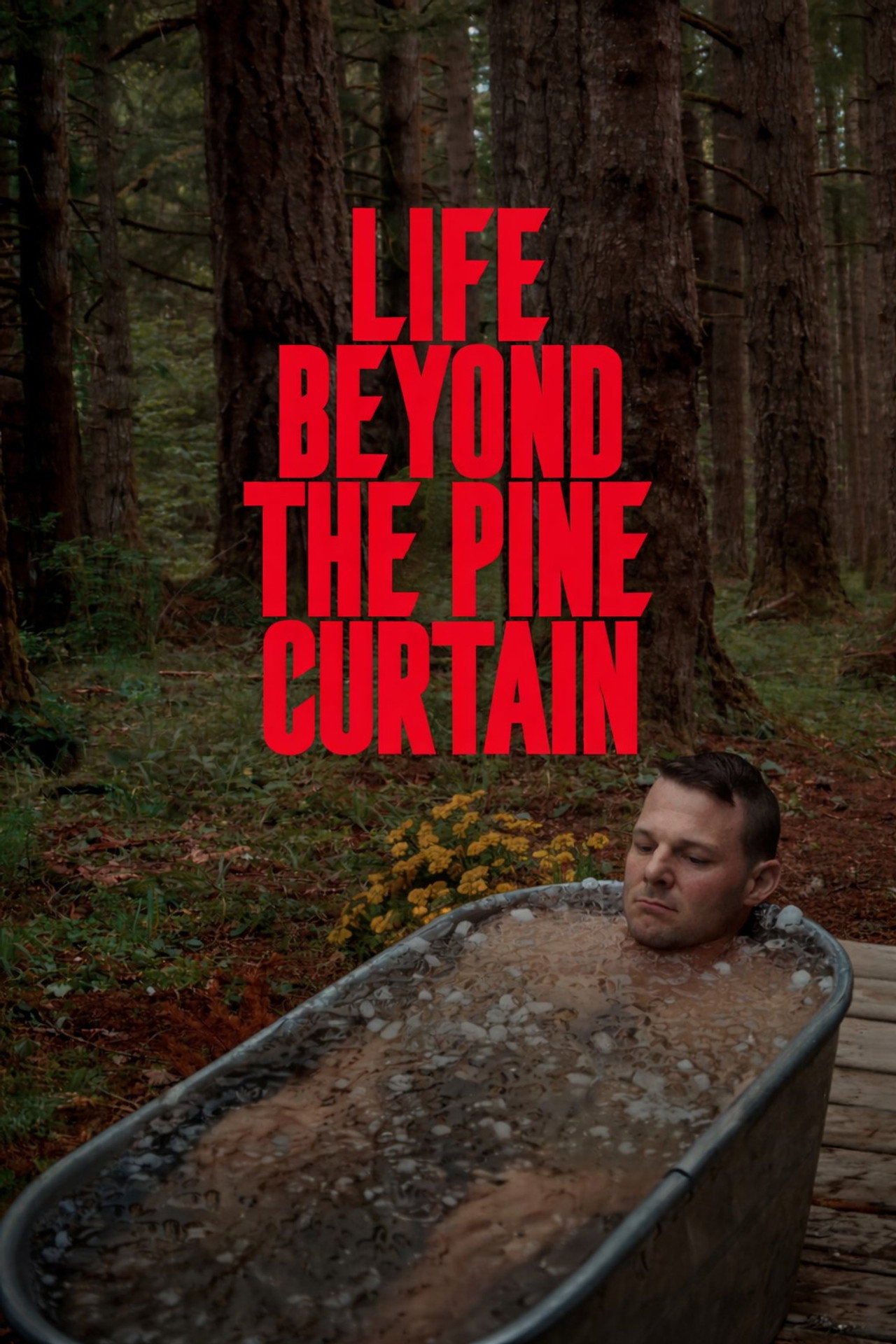 Life Beyond the Pine Curtain – L’America degli Invisibli filmaffisch