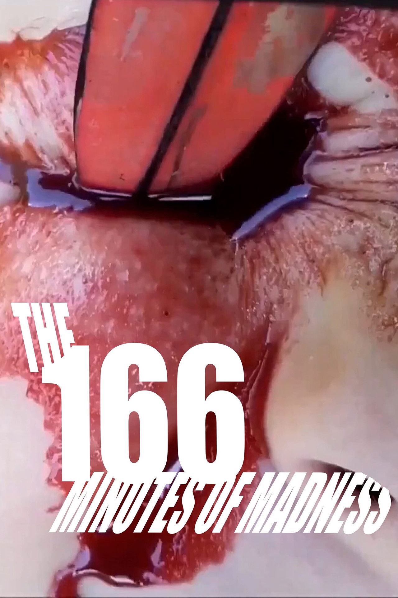 The 166 Minutes of Madness Backdrop