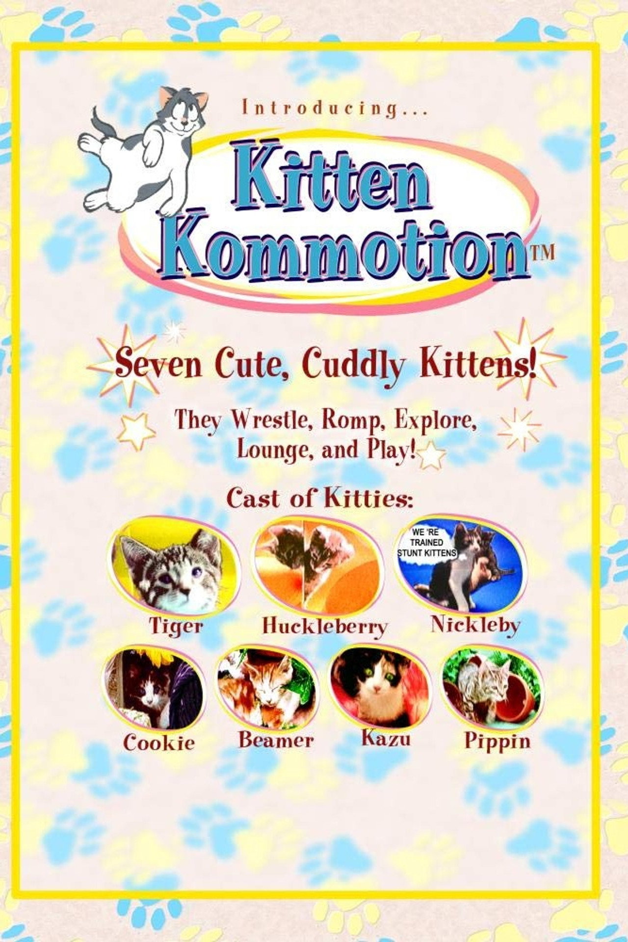 Kitten Kommotion Backdrop