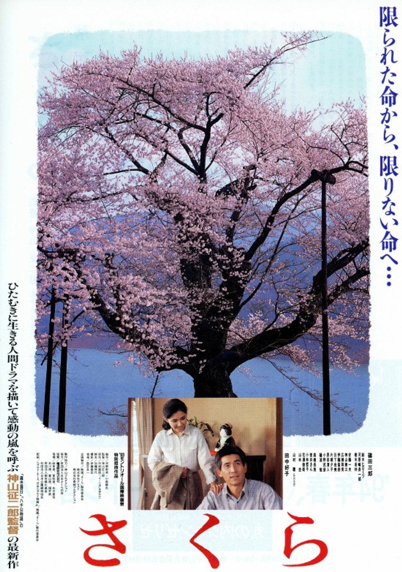 Sakura