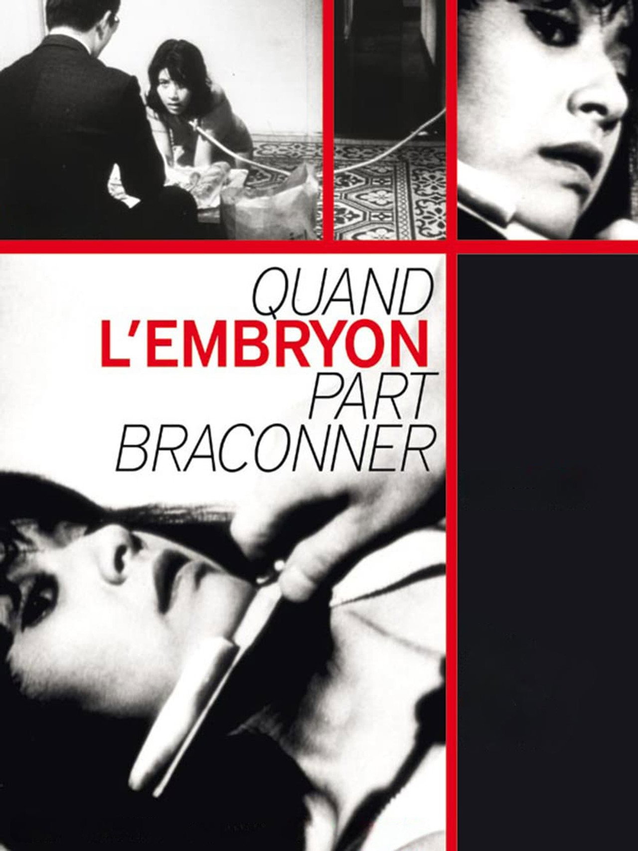 Quand l'embryon part braconner