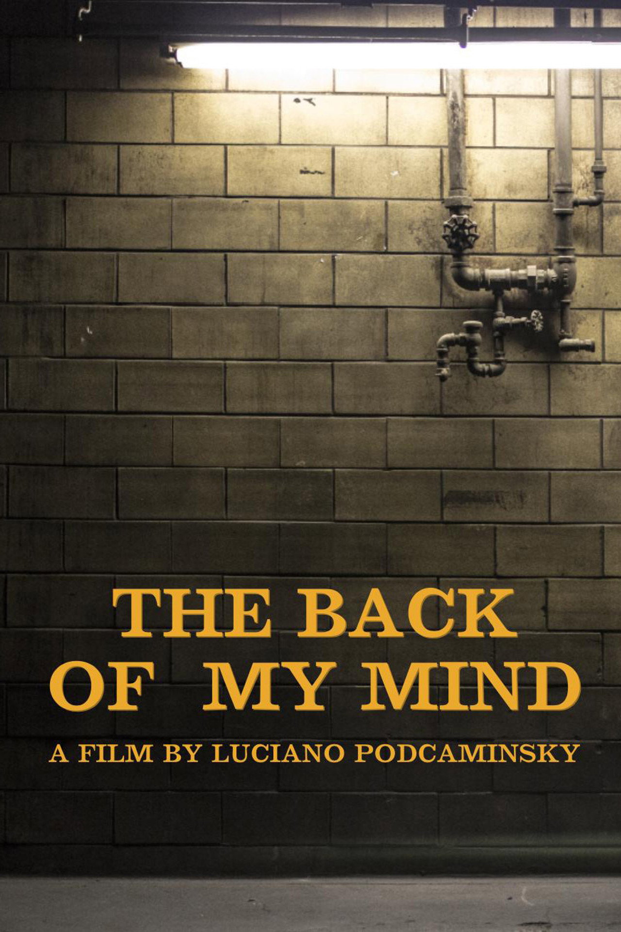 The Back of My Mind filmaffisch