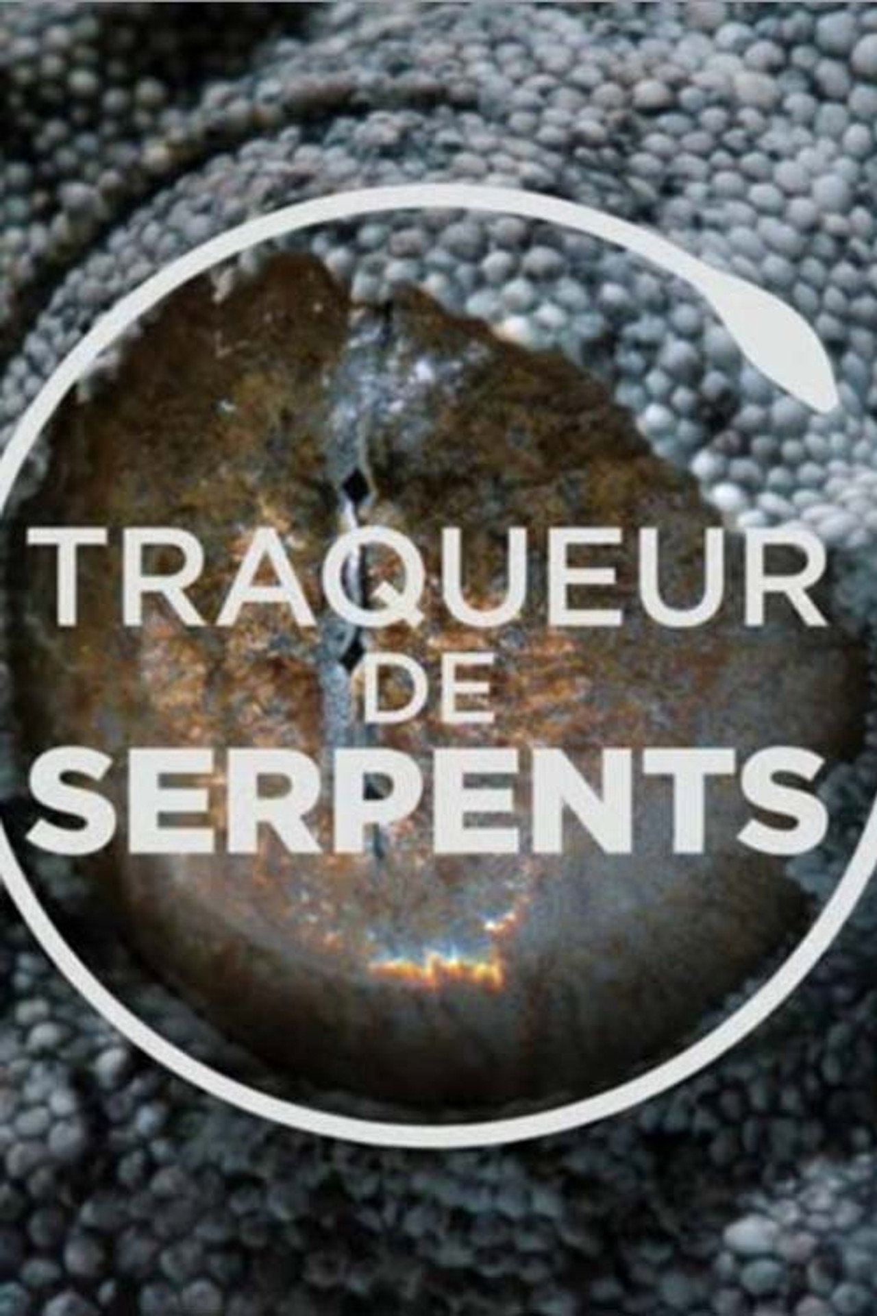 Traqueur de serpents affisch