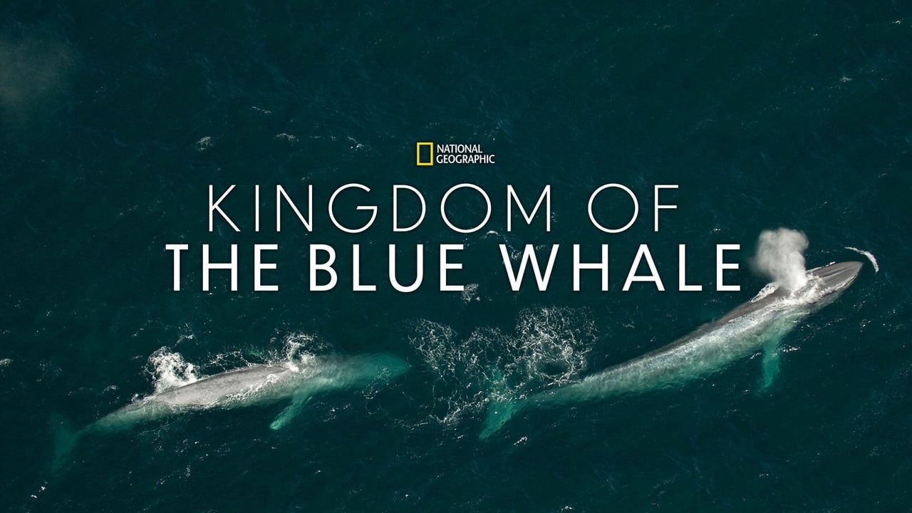Kingdom of the Blue Whale Backdrop Image