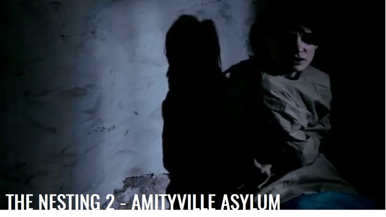 Scen från The Amityville Asylum