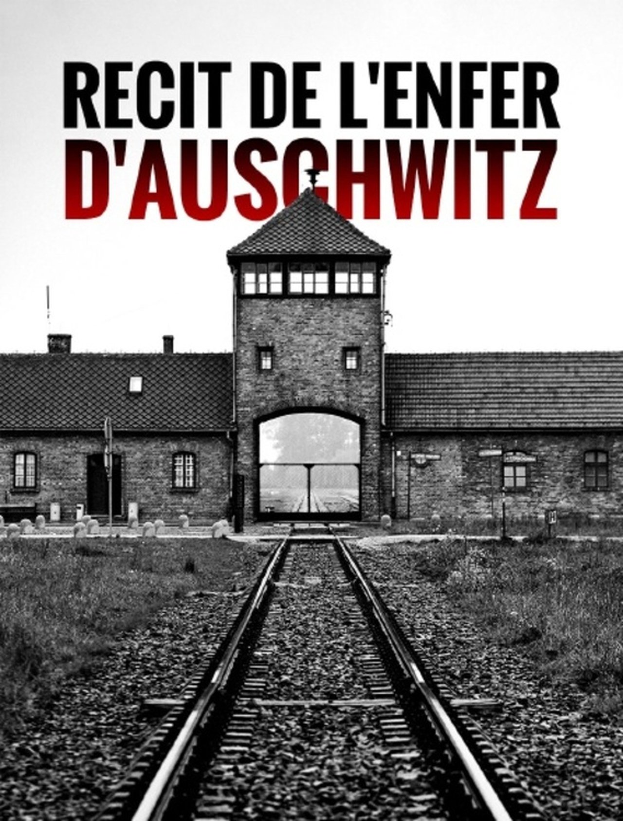 Récit de l'enfer d'Auschwitz poster