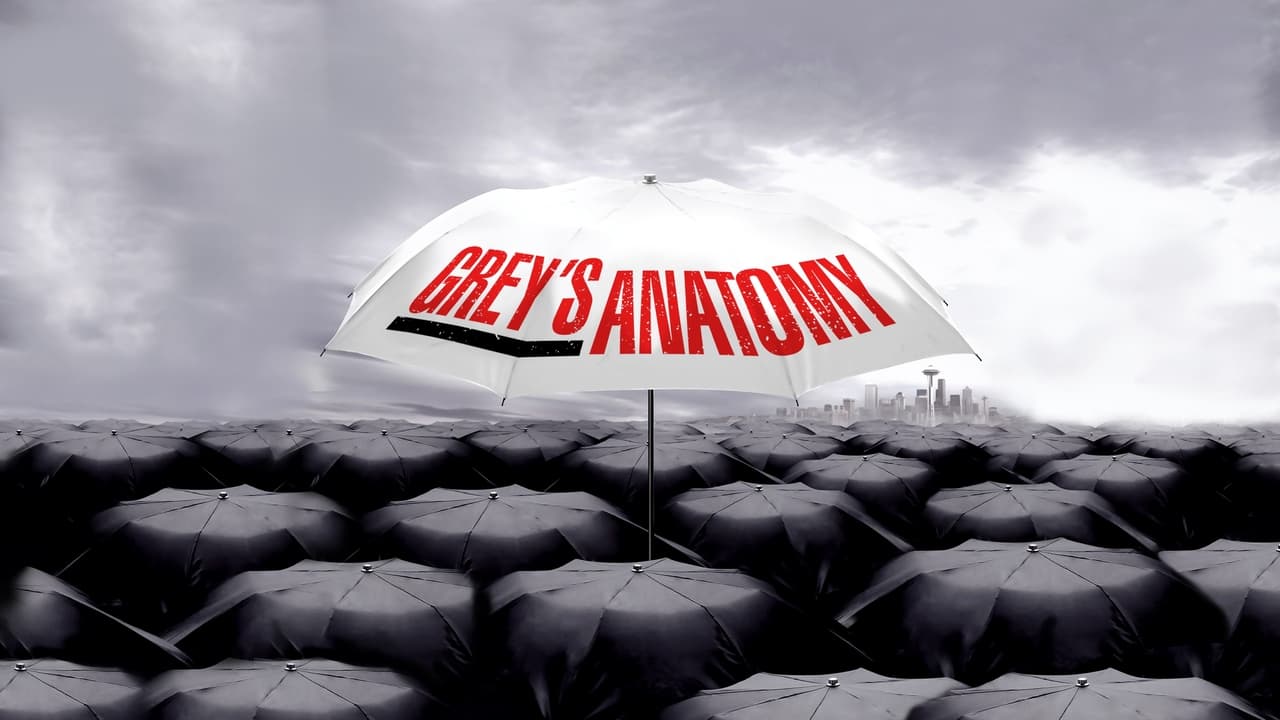 Grey's Anatomy - Season 8