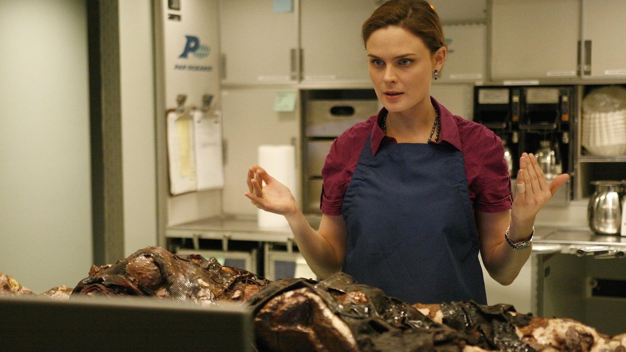 Bones - Season 4 Episode 10 : The Passenger in the Oven
