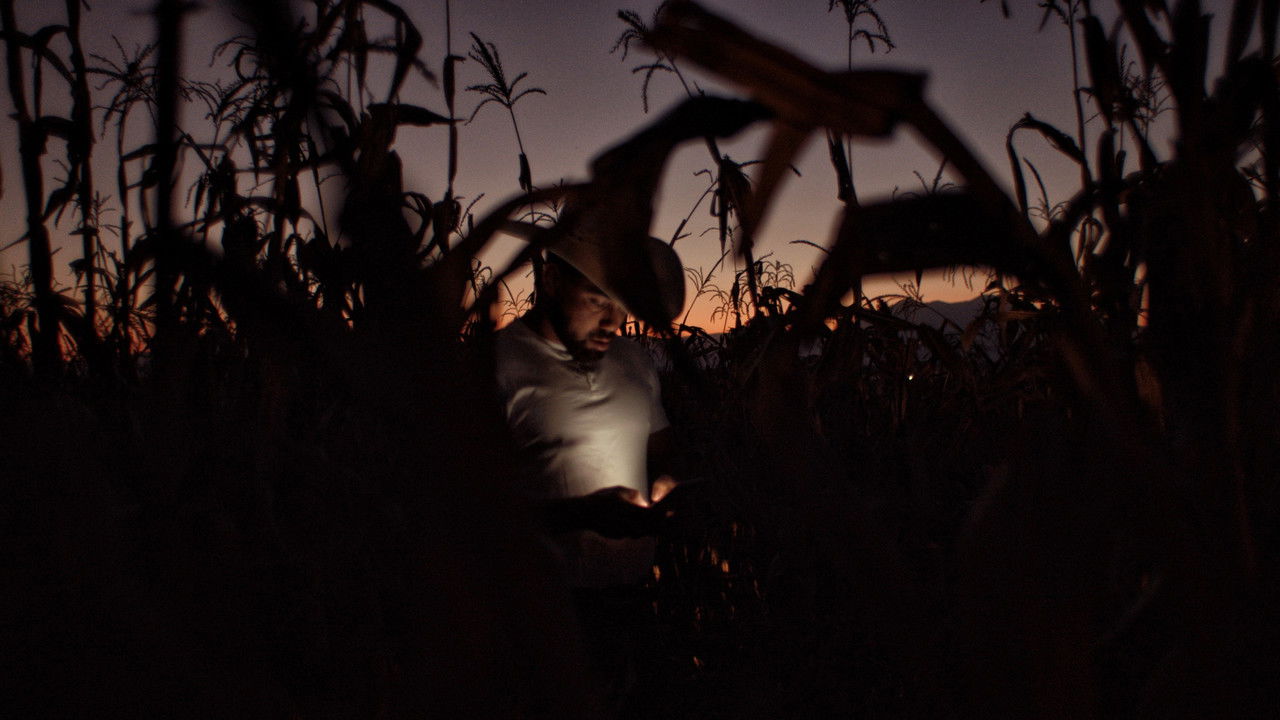 Jaripeo backdrop image