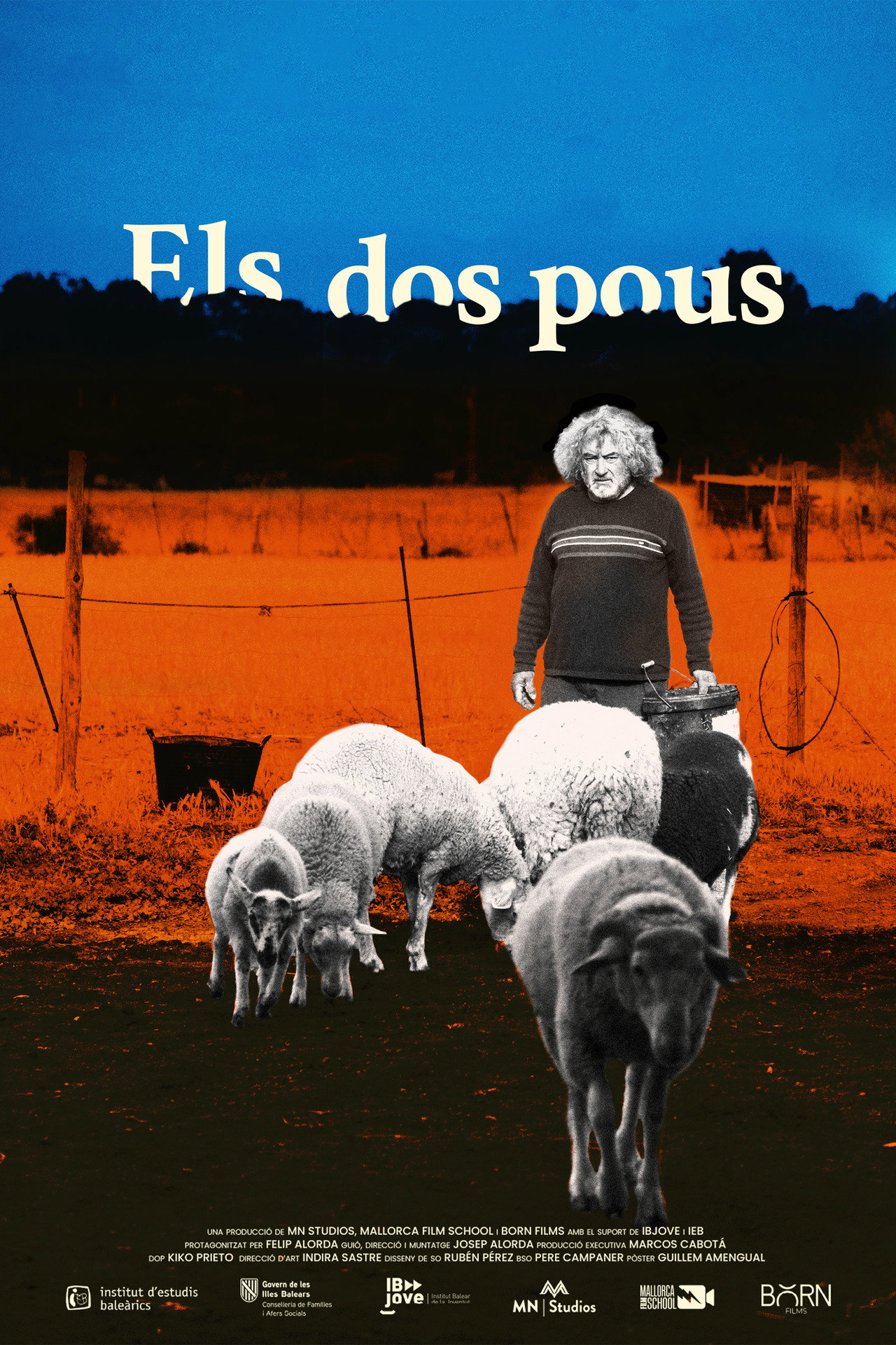 Els dos pous filmaffisch
