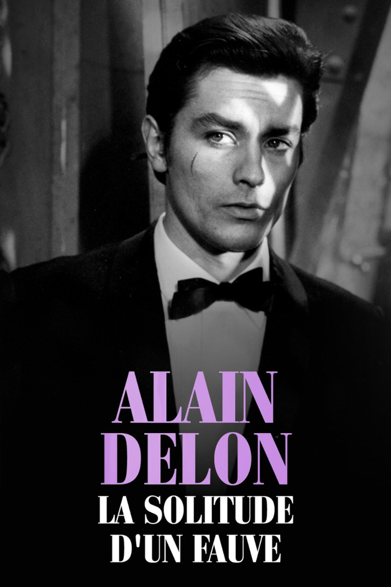 Alain Delon, la solitude d'un fauve filmaffisch