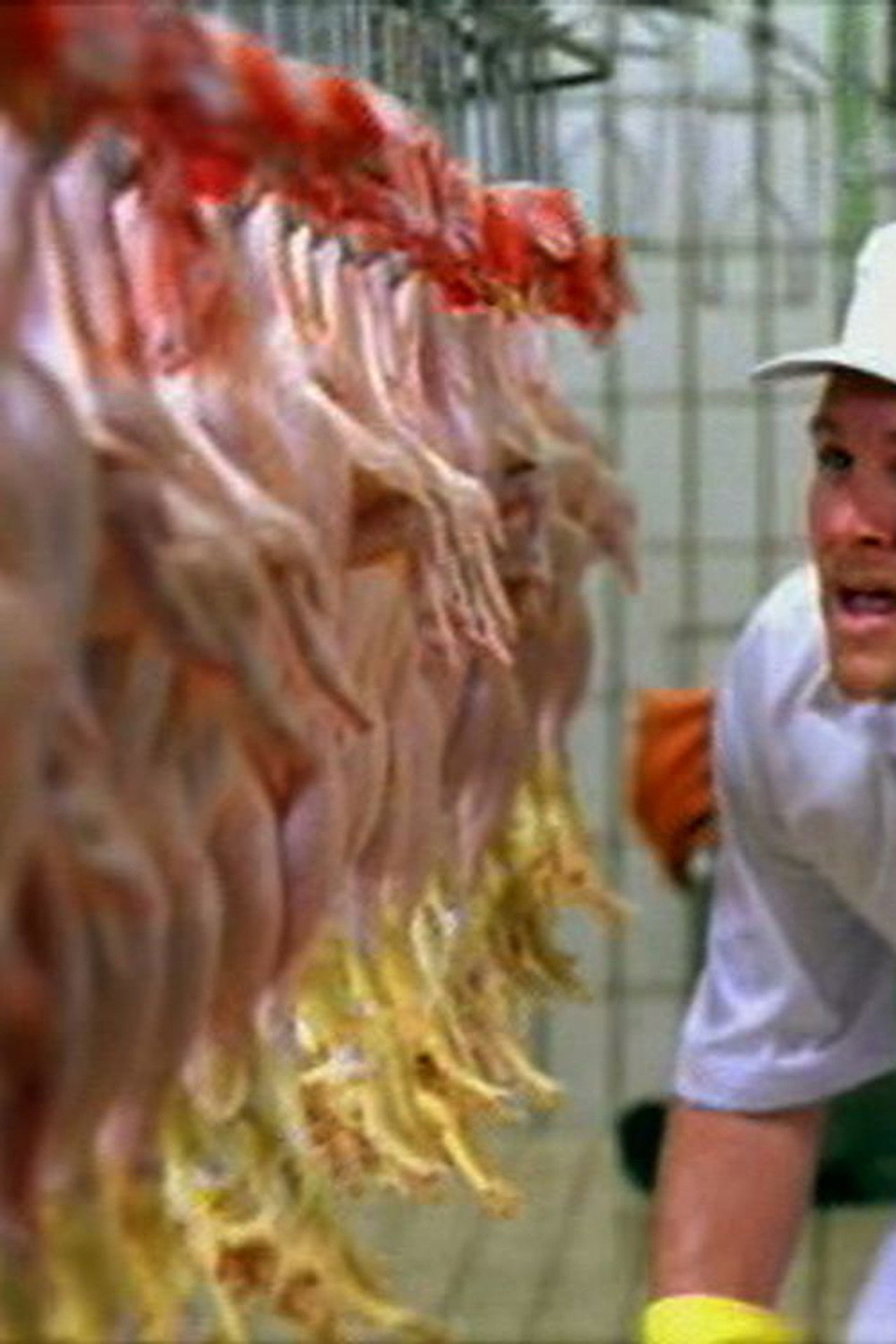 Porcos Corpos Backdrop