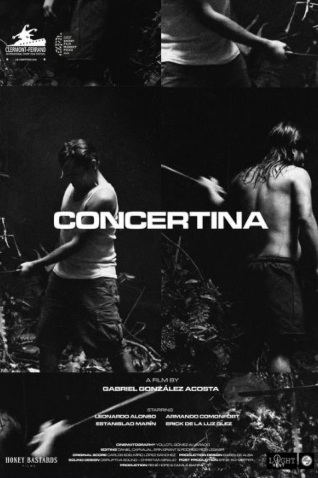 Concertina