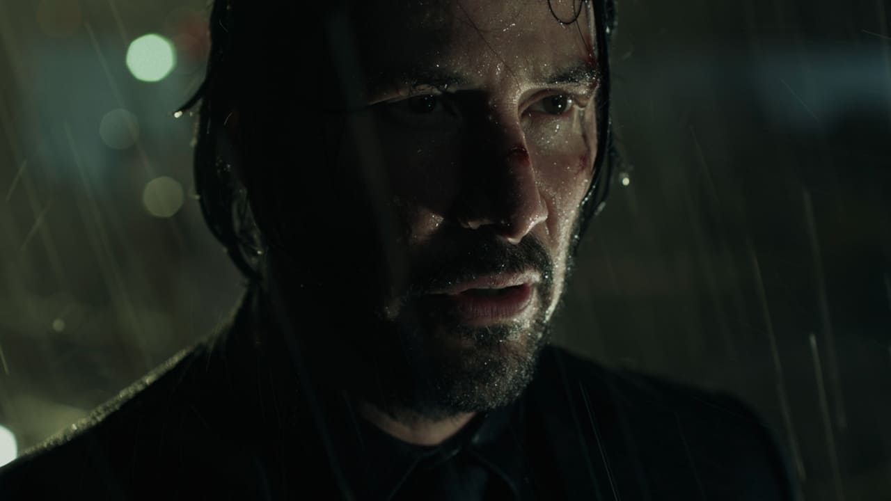 2014 John Wick