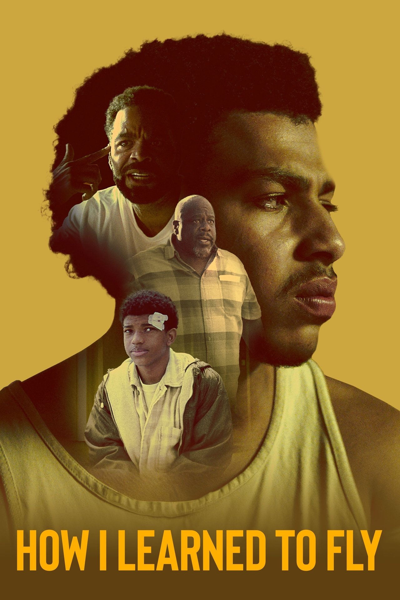 How I Learned to Fly poster
