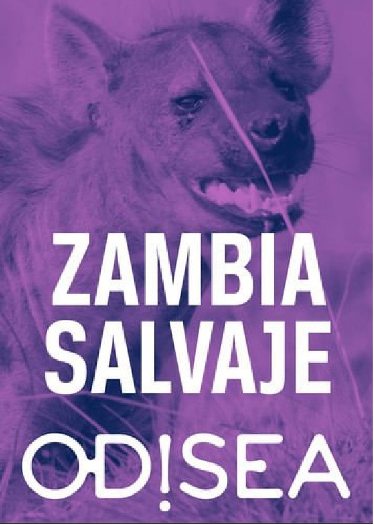 Tales from Zambia poster