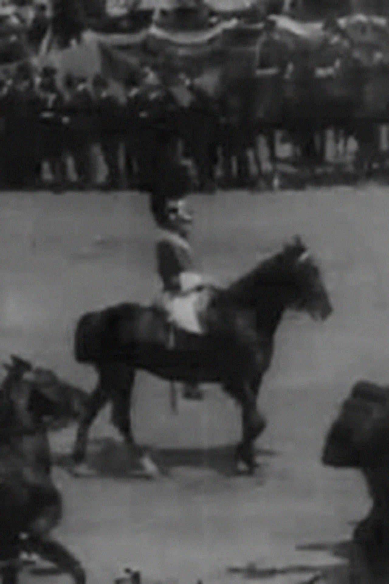 President McKinley's Inauguration Backdrop