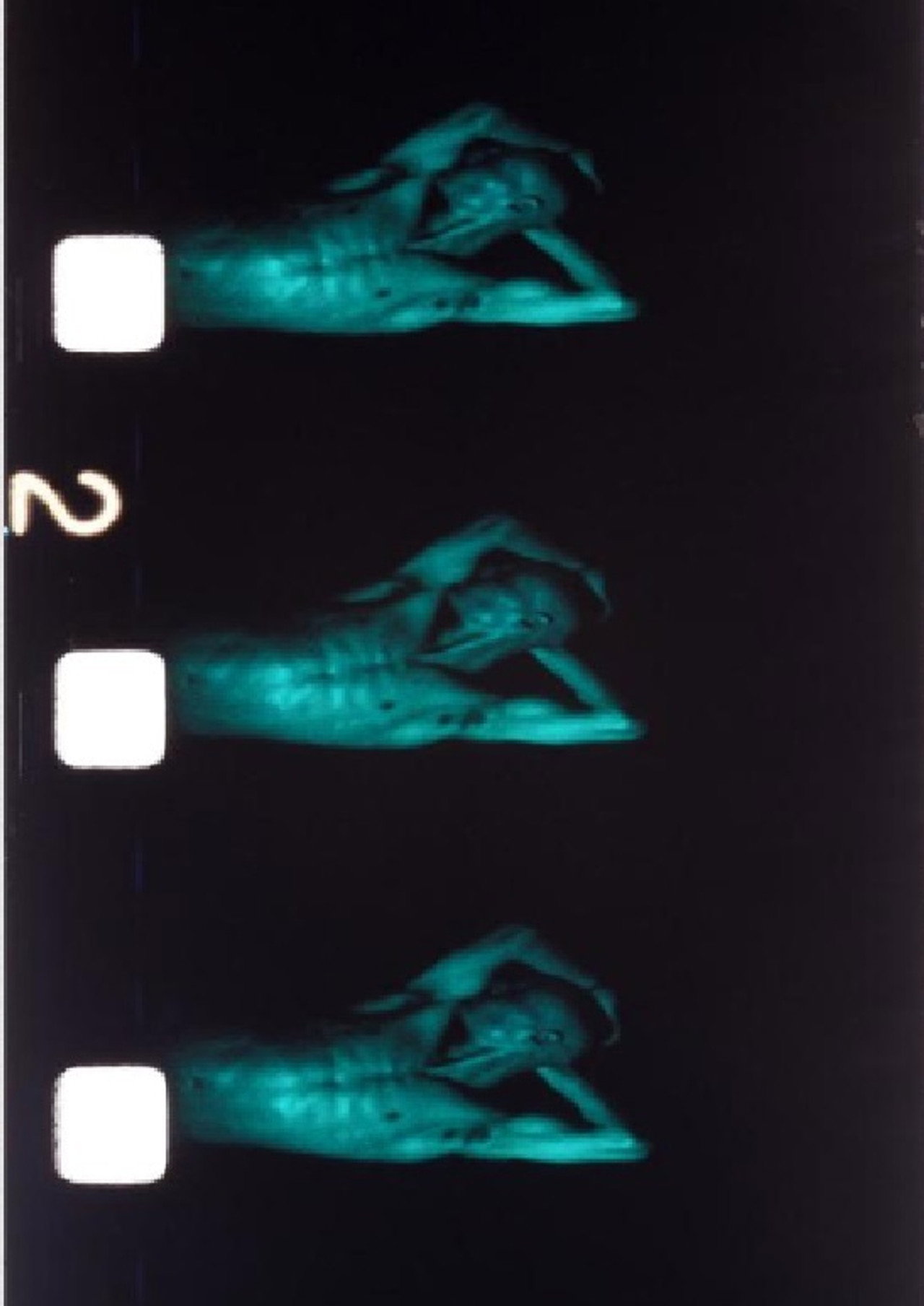 Chutes de Corps aboli Backdrop